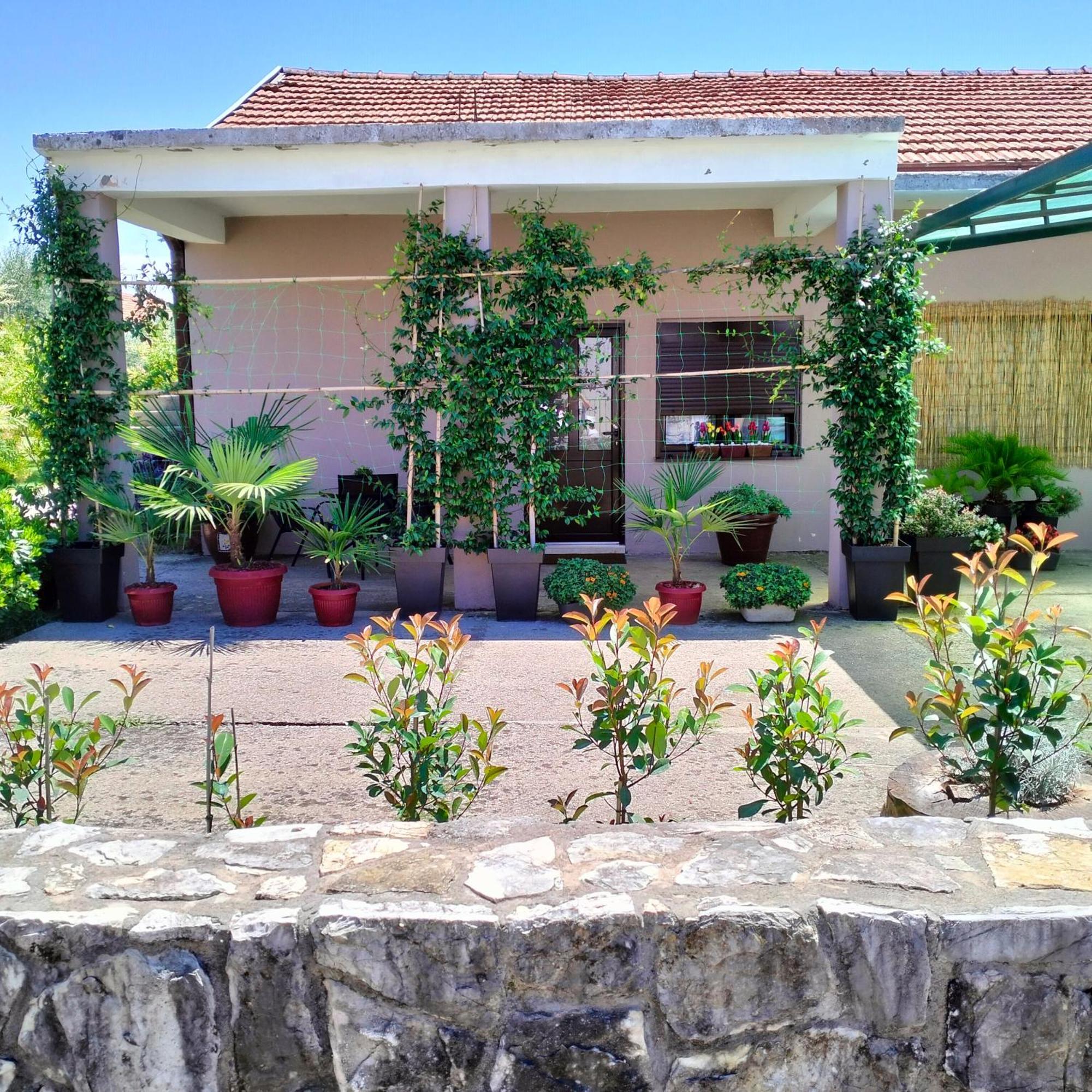 Olive Apartment Podgorica Exterior photo