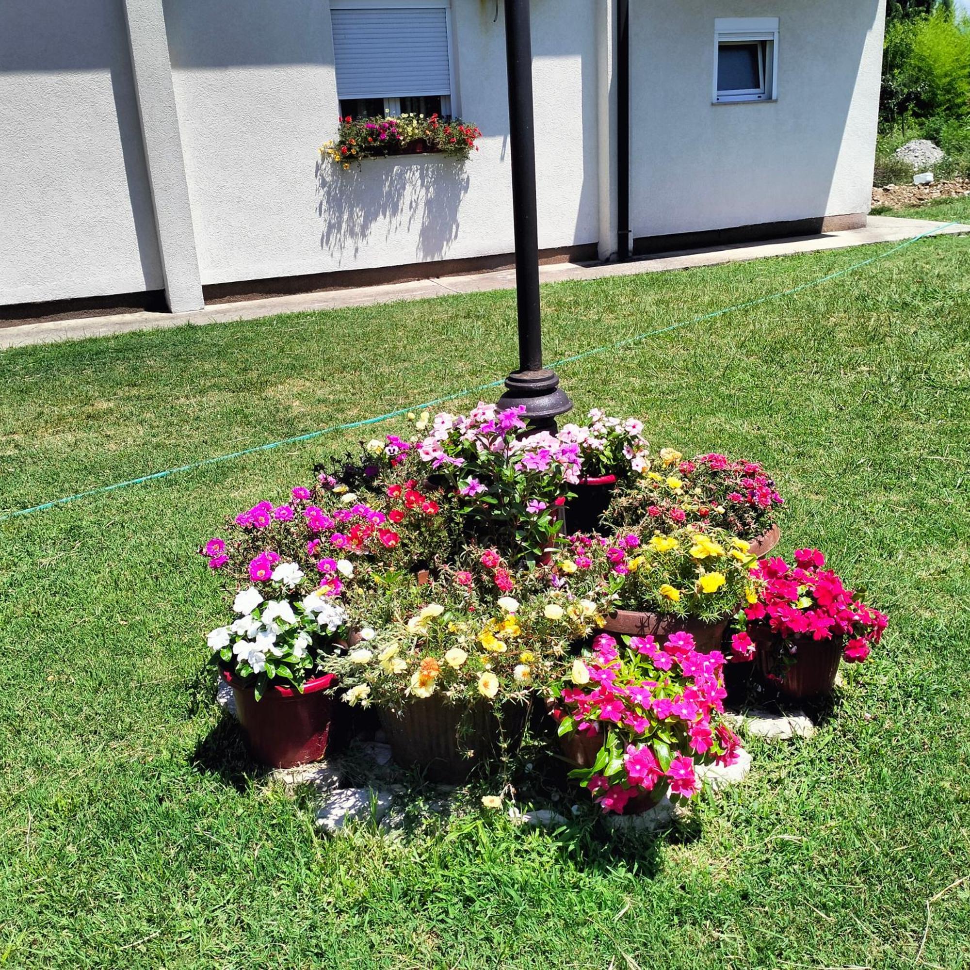 Olive Apartment Podgorica Exterior photo